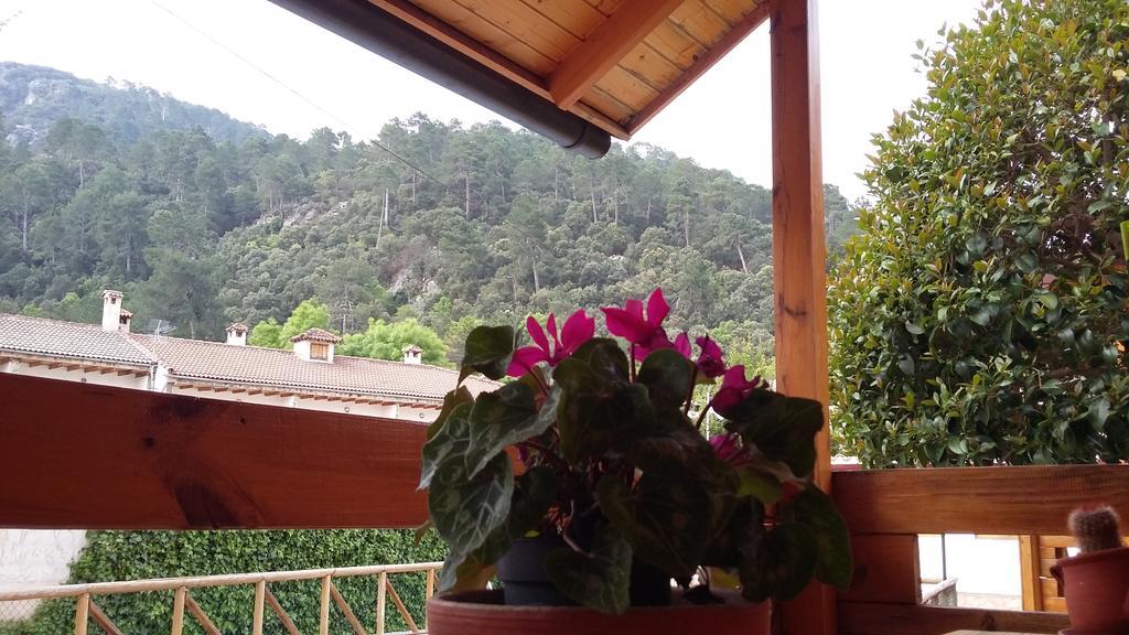 Cabanas De Madera El Rinconcillo Arroyo Frio Esterno foto